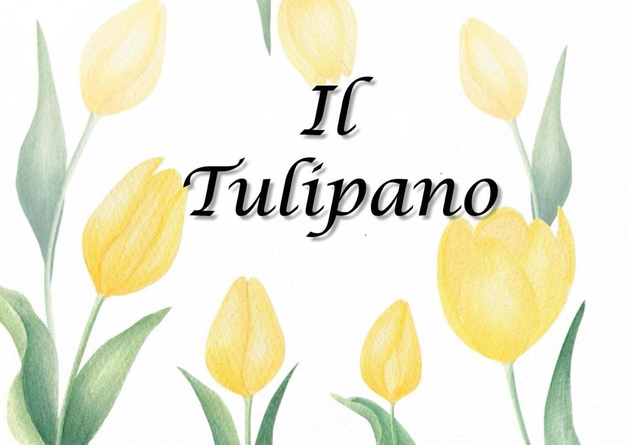 Appartement Il Tulipano à Trezzano Rosa Extérieur photo